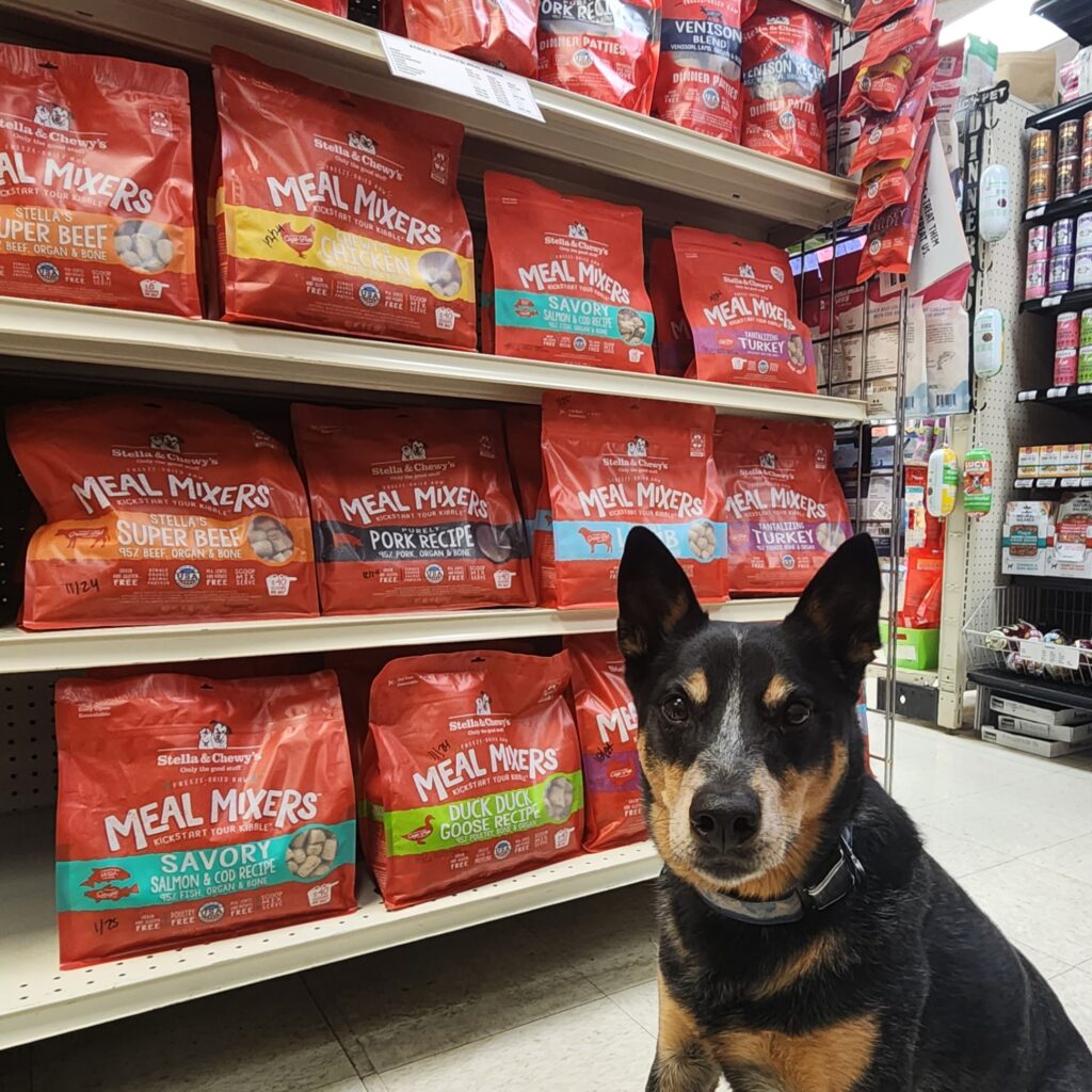 dog in Poudre Pet & Feed Supply in front of Stella & Chewy's