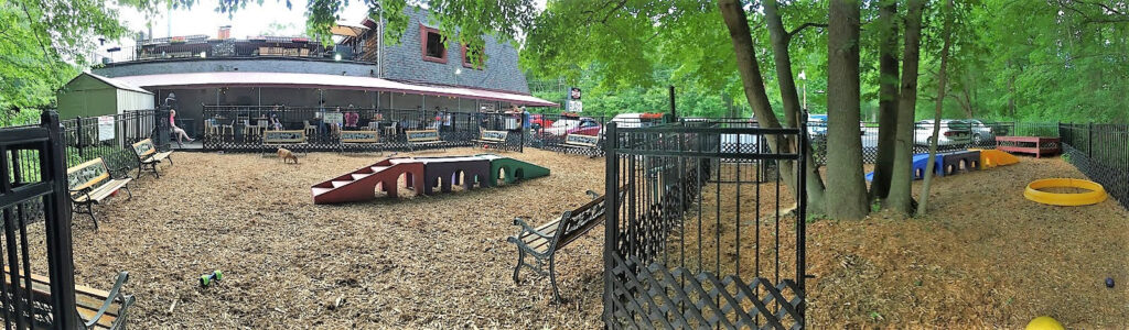 The dog park at The Hungry Puppy