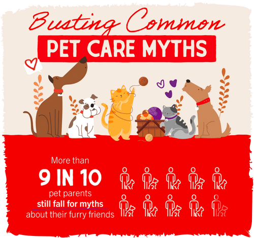 You Helped Us Debunk Common Pet Myths