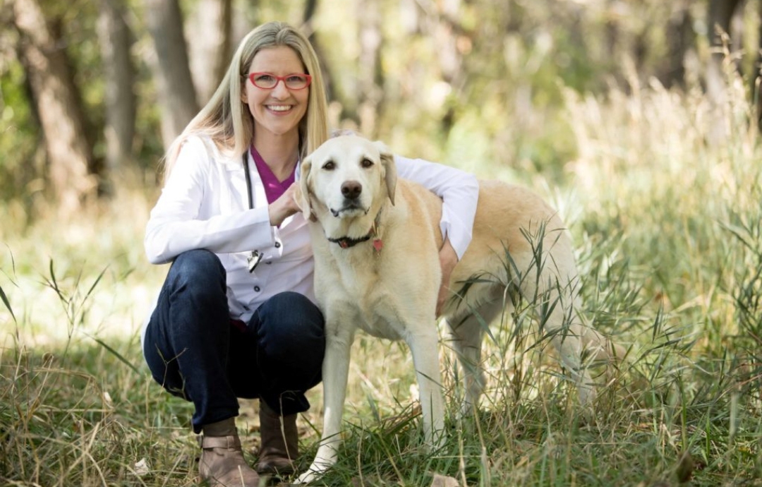 3 Key Areas to Focus on For Your Pet’s Health: Insights from a Holistic Veterinarian