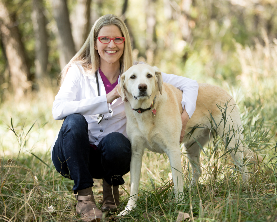 Dr. Angie Krause, Holistic Veterinarian