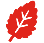 Red Parsley leaf icon