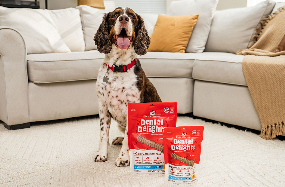 Stella & Chewy’s Launches New Dental Treats Promoting Canine Oral Health