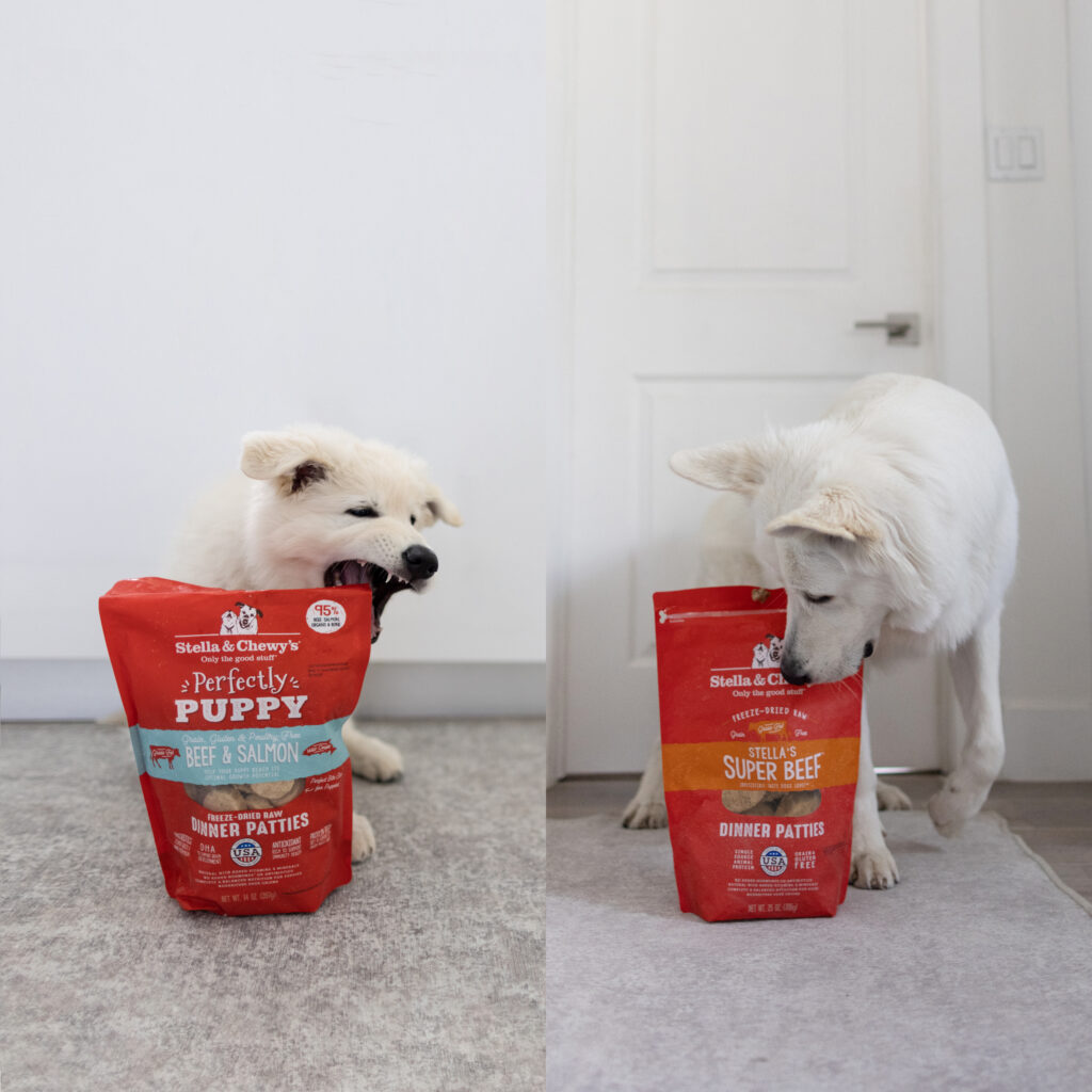 Puppy and Dog Freeze-Dried Raw 