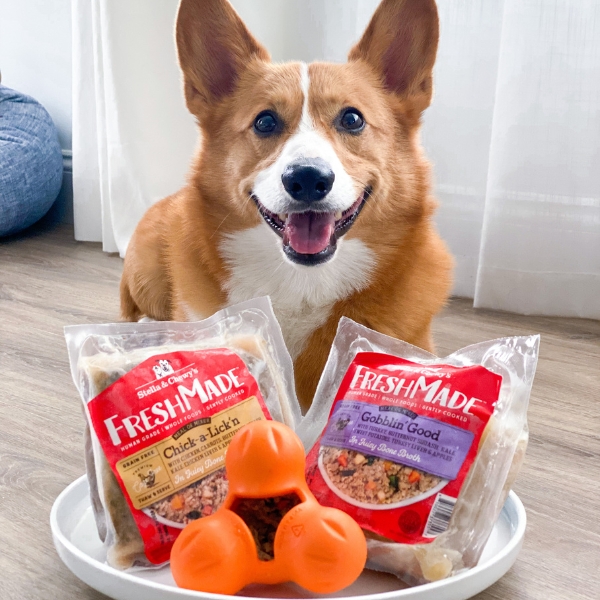 How to Feed Fresh Dog Food